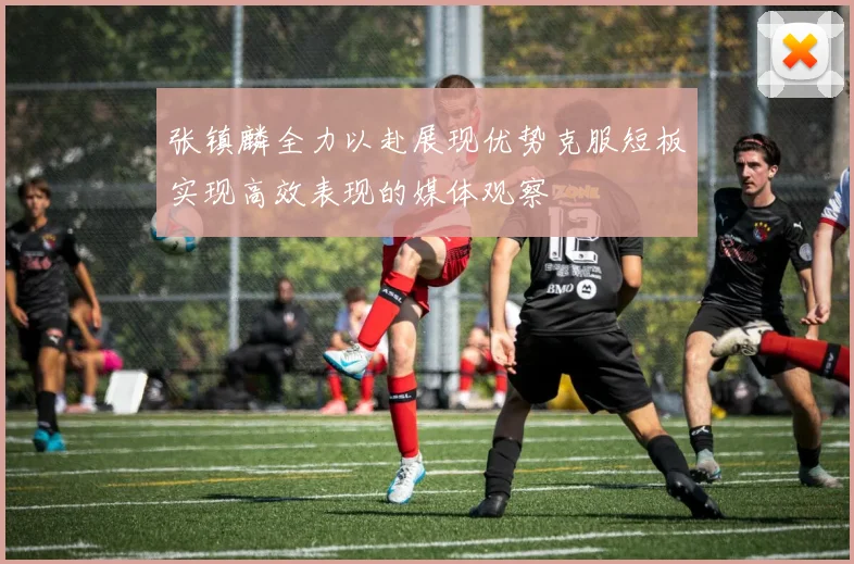 张镇麟全力以赴展现优势克服短板实现高效表现的媒体观察